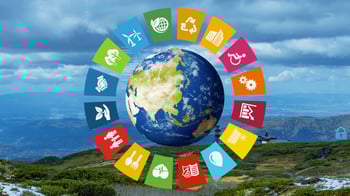 shutterstock_1984610144