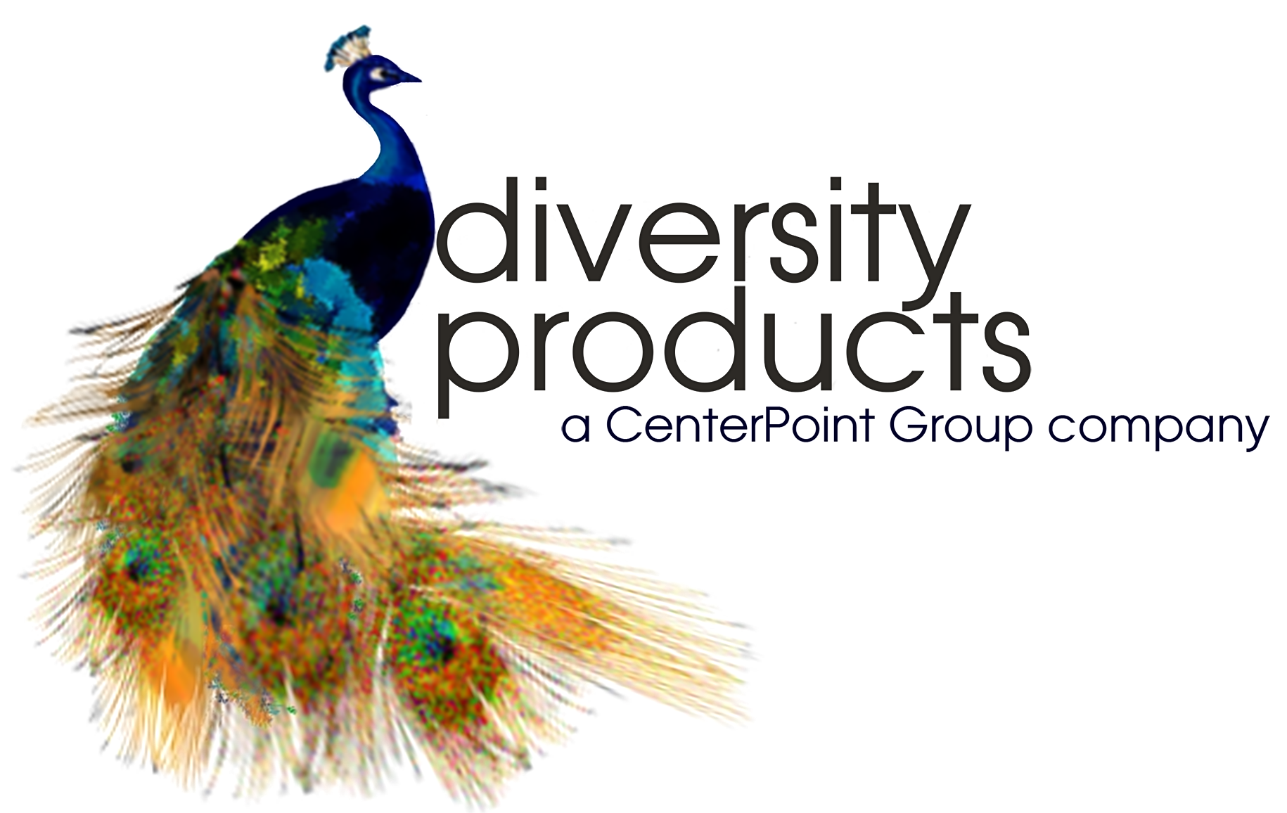 CenterPoint Diversity